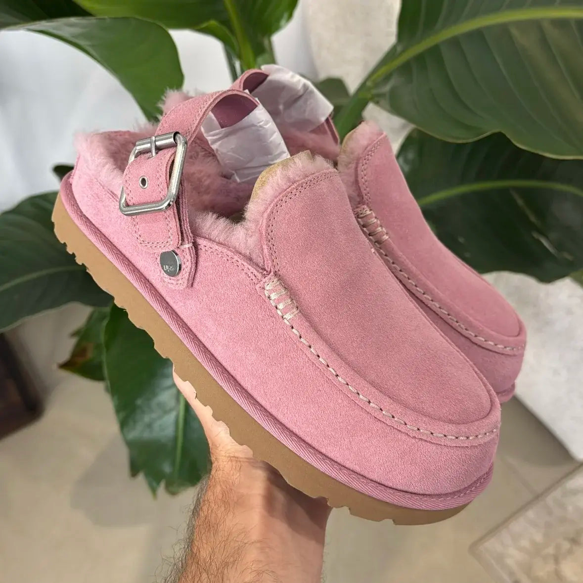 UGG Goldenstar Evelina Clog Dusty Orchid
